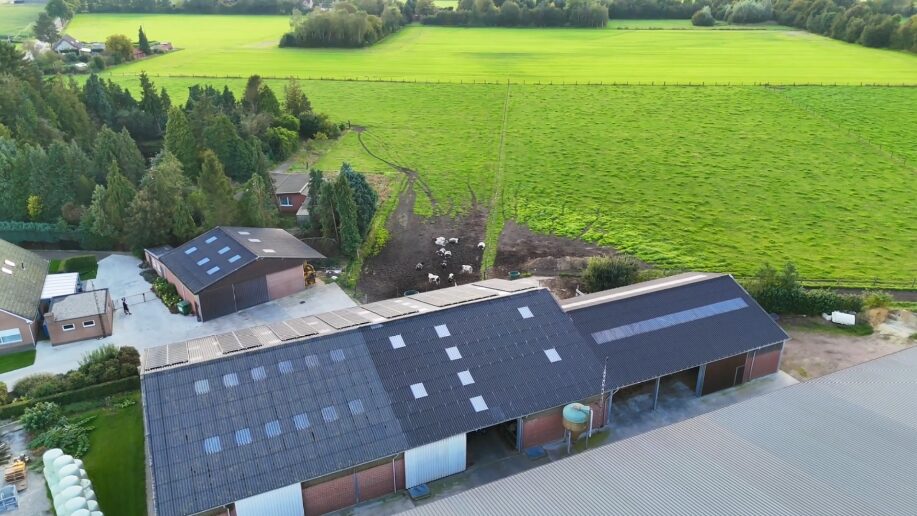 Golfplaten vervangen — Diest
